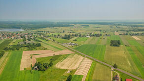 DK19 na wysokości Borek