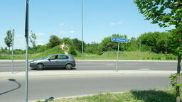 Planowana ścieżka miałaby się kończyć koło ul. Północnej