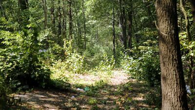 Najwyższy stopień zagrożenia pożarowego na południu regionu