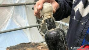 Oprócz informacji o butelce, konserwatorzy mieli dla proboszcza drugą wiadomość, że wazonu z tajemniczą przesyłką z przeszłości nie da się uratować.