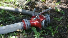 Zdjęcie ilustracyjne