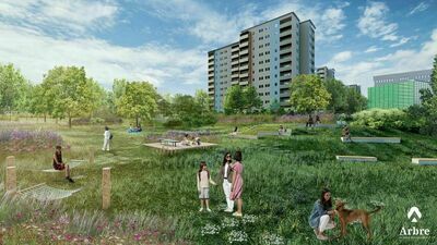 Jak urządzić park na Czechowie? Zapraszają na spacer