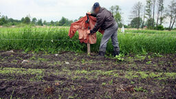 Rolnik na zmianę z żoną pilnuje pola. I tak to nic nie daje