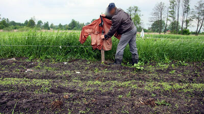 Rolnik na zmianę z żoną pilnuje pola. I tak to nic nie daje