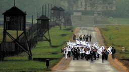 Państwowe Muzeum na Majdanku przed pandemią Niemiecki Nazistowski Obóz Koncentracyjny w Lublinie odwiedzało rocznie 39–41 tysięcy uczniów z Izraela 