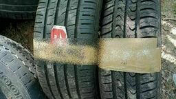 Straż Miejska odkryła porzucone opony w lesie. Ale do tej pory składowisko nie zniknęło