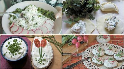 Dziś dzień targowy. Może warto kupić... twaróg. Przepisy, pomysły, inspiracje