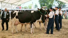 Po dwóch latach przerwy spowodowanej koronawirusem, wystawa wraca do Sitna