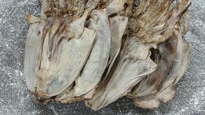 Celnicy opisują, że żywność była w fatalnym stanie