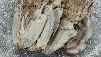 Celnicy opisują, że żywność była w fatalnym stanie