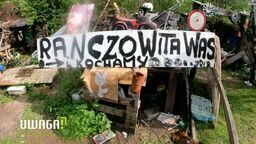 Stworzyli "ranczo" w centrum miasta, po 20 latach muszą je opuścić. "Jestem świadoma, że żyjemy inaczej"