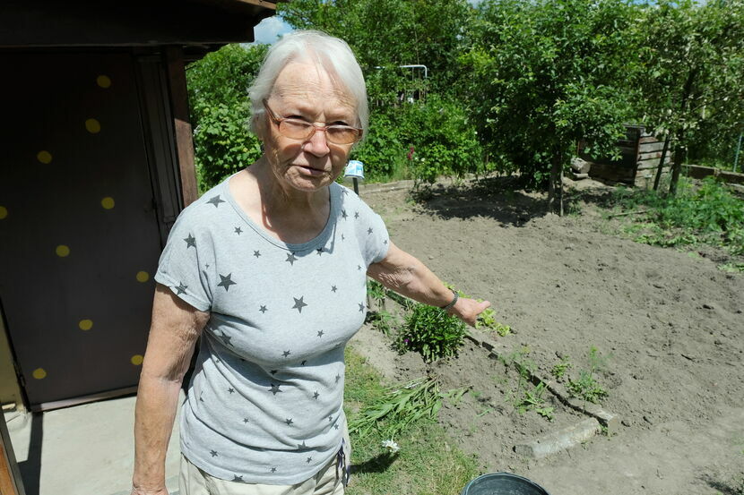 Leokadia Rzepecka od 30 lat uprawia nieduże poletko w Rodzinnym Ogrodzie Działkowym „Pionier”.