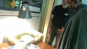 Niemiecki opiekun piskląt, który z Zamościa zabierze je do Brandenburgii i tam nadal ich będzie doglądał, do karmienia maluchów musi wkładać maskę, aby nie przyzwyczaiły się, że pożywienie dostarcza im człowiek