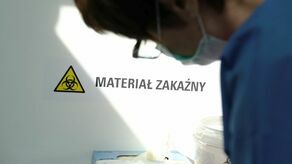 Pierwszy przypadek małpiej ospy w Polsce. Jak przenosi się choroba? Na co zwrócić uwagę?