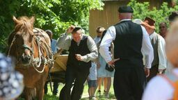 Niedawny koński targ w Muzeum Wsi Lubelskiej