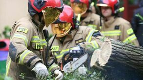 Przez ostatnią dobę strażacy w woj. lubelskim wyjeżdżali 33 razy do zgłoszeń związanych z opadami deszczu, głównie połamanymi gałęziami i drzewami