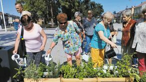 W Opolu Lubelskim pachną "Miejskie ziółka". To eksperyment społeczny seniorów