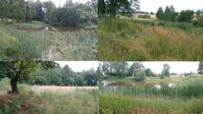 Park wygląda źle, a jak się wejdzie na stronę gminy, to jest przedstawiany jako nasza wizytówka – denerwuje się mieszkaniec wioski.