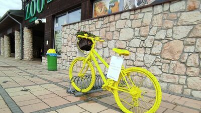 Na takich żółtych i podobnych czerwonych rowerach raczej nikt nie pojeździ. Są stare, a na dodatek przymocowane do podłoża