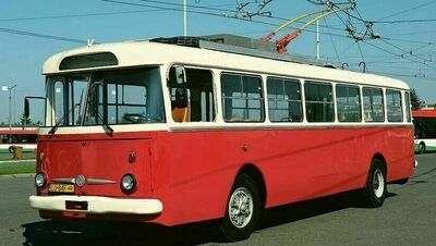 Lublin: Dantejskie sceny na przystanku linii turystycznej T. Wsiedli tylko najsilniejsi