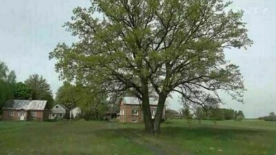 100-letni Alojzy kontra autostrada. Drogowcy zaskarżyli uchwałę radnych