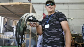 Na wymiona niemowlęca oliwka, na grzbiet płyn do mycia naczyń. W Sitnie trwa rolnicza wystawa