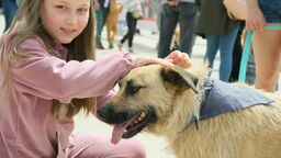 Pierwsze spotkanie. Podczas sobotniej akcji promującej adopcję bezdomnych zwierząt