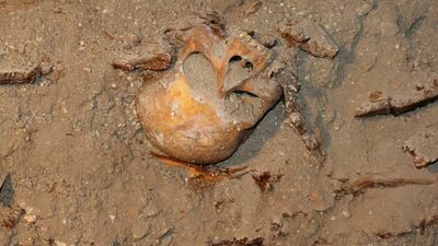 Niesamowite odkrycie w Chełmie. Krypta z ludzkimi szczątkami