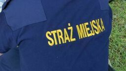 Zdjęcie ilustracyjne