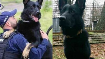 Życie 36-latka było zagrożone. Zaginionego mężczyznę odnalazł Mister