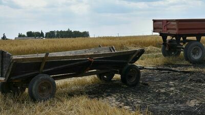 Próbował ugasić płonące zboże, ale sam zginął. To było zaprószenie ognia?