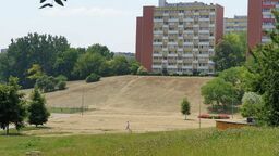 – Tak się walczy z suszą i upałami w Lublinie – napisał do nas jeden z Czytelników. – Wąwóz ogolony do gołej ziemi!