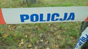 Lubelskie. W lesie znaleziono ciało mężczyzny zagryzionego przez psy