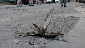 Okolice dworca PKP w Lublinie i fetor z trucheł gołębi