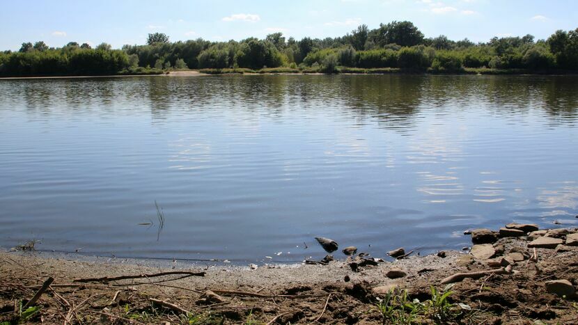 Wody w Wiśle jest coraz mniej. W Puławach jej poziom w tym tygodniu najpewniej spadnie poniżej 90 cm