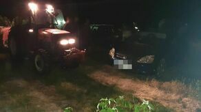 Był nerwowy. Wysypał maliny i zaczął je deptać. 59-latek przyznał się do winy