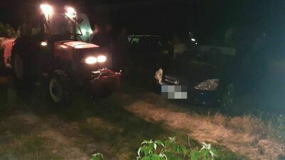 Był nerwowy. Wysypał maliny i zaczął je deptać. 59-latek przyznał się do winy