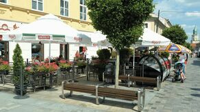 Urząd Miasta i Straż Miejska zgodnie twierdzą, że ogródek nie ma zgody na działalność i nie ma koncesji na sprzedaż alkoholu. Mimo to ani mundurowi, ani urzędnicy nie są w stanie doprowadzić do jego zamknięcia