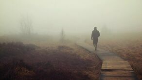 Zdjęcie ilustracyjne