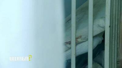 Zarzut zabójstwa dla rodziców 3-letniej Mai. "Mieszkali ze zwłokami co najmniej kilkanaście dni"