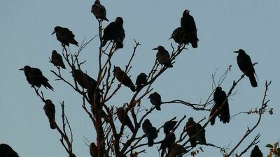 Zdjęcie ilustracyjne