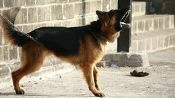 Zdjęcie ilustracyjne