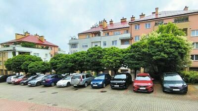 Zdaniem prezesa spółdzielni wszystkie drzewa ze szpaleru 11 robinii są uszkodzone i niebezpieczne. Ale wcale tak nie wyglądają