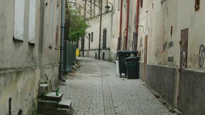 Lublin namierzy tych, co oszukują na śmieciach. Wyłapie ich komputer