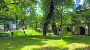 Ul. Wyszyńskiego: Między drzewami mają pojawić się funkie i barwinki. Do tego stanie nowa drewniana pergola i 70 białych hortensji drzewiastych