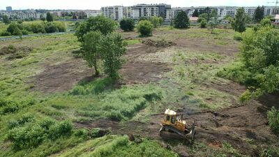 RDOŚ stoi na stanowisku, że koszenie roślinności na górkach nie szkodzi, a sprzyja chronionym prawnie chomikom.