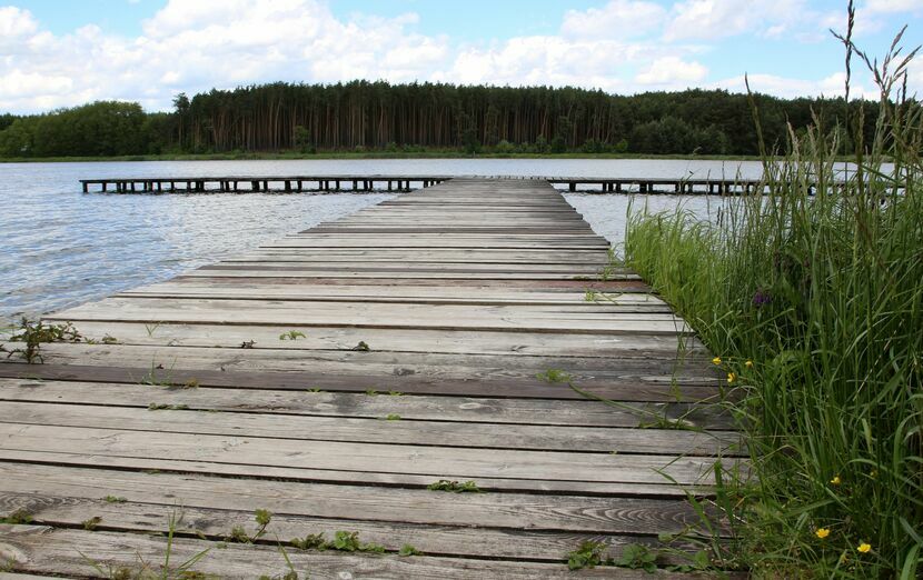 Zalew w Janowicach to naturalne kąpielisko w pobliżu granicy województw lubelskiego i mazowieckiego. Jedyny obiekt tego rodzaju w powiecie puławskim