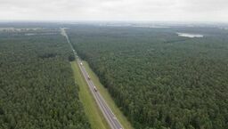 Zdjęcie ilustracyjne