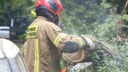 Zdjęcie ilustracyjne