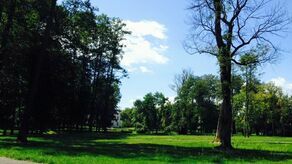 Mieszkańcy Opola Lubelskiego nie chcą spopielarni zwłok zwierząt koło lubianego parku